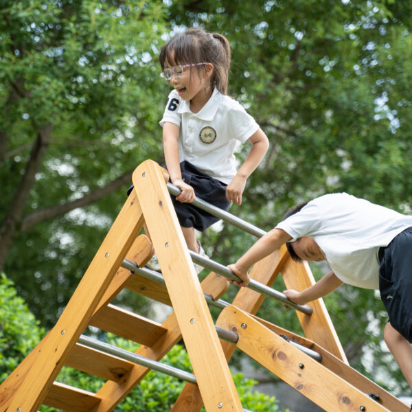 CLASSIC WORLD EDU Drewniany Plac Zabaw XL Zestaw Drabinka Montessori do Wspinaczki - 005