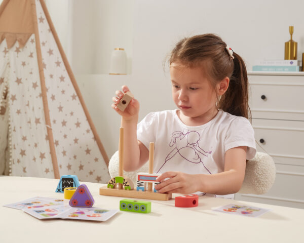 VIGA Układanka Piramidka Roboty + Wzory 8 el. - 004