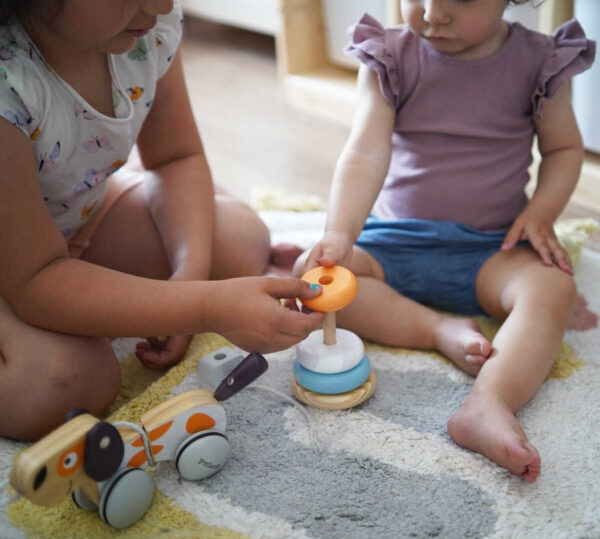 VIGA PolarB Drewniana Piramidka edukacyjna - Miś Polarny - 011