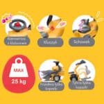 FALK Chodzik Jeździk Koparka Marcel z Przyczepką - 003