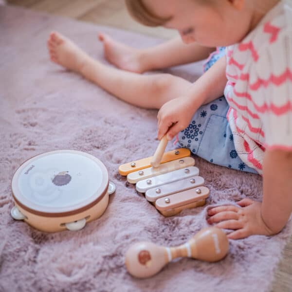 VIGA PolarB Zestaw Instrumentów Muzycznych Z Jeżykiem - 002