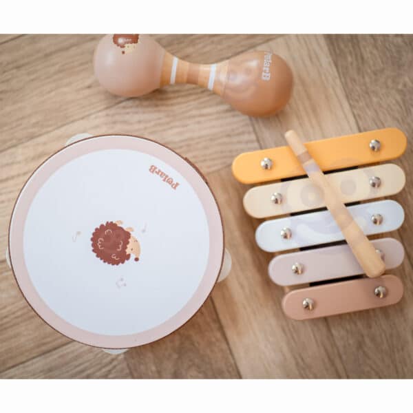 VIGA PolarB Zestaw Instrumentów Muzycznych Z Jeżykiem - 004