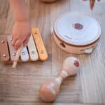 VIGA PolarB Zestaw Instrumentów Muzycznych Z Jeżykiem - 005