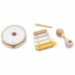 VIGA PolarB Zestaw Instrumentów Muzycznych Z Jeżykiem - 006