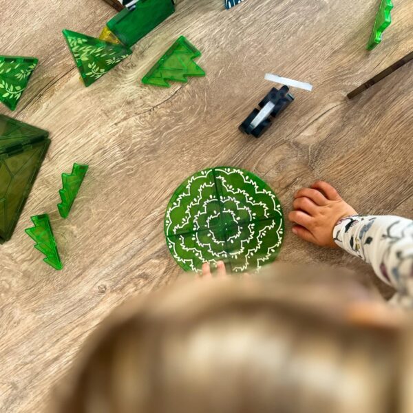 WOOPIE Klocki Magnetyczne Konstrukcyjne 3D Zestaw Edukacyjny Rzadkie Zwierzęta 45el. - 007