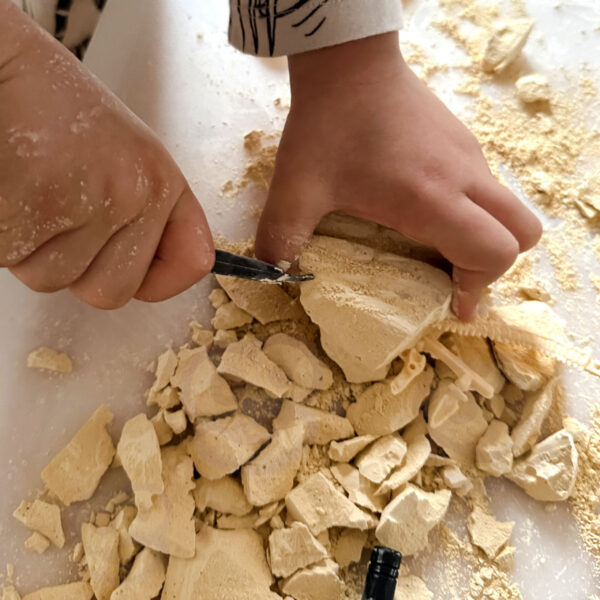 WOOPIE Zabawka Kreatywna Dinozaur Szkielet Wykopalisko Archeologiczne - 005