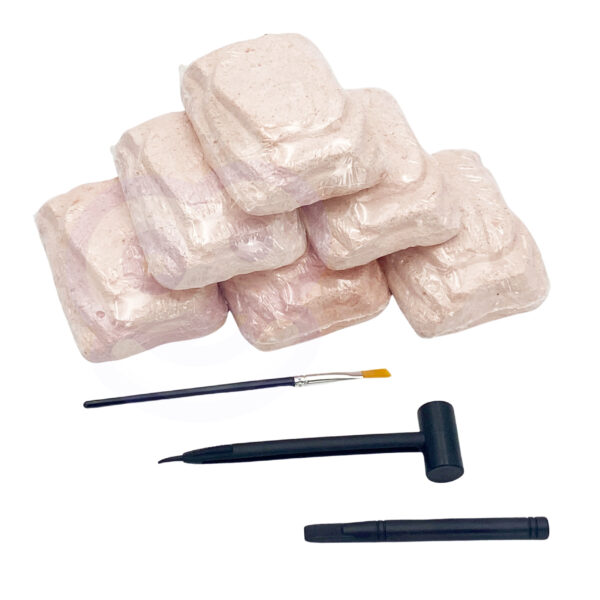 WOOPIE Zabawka Kreatywna Dinozaur Szkielet Wykopalisko Archeologiczne - 002