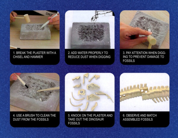 WOOPIE Zabawka Kreatywna Dinozaur Szkielet Wykopalisko Archeologiczne - 006