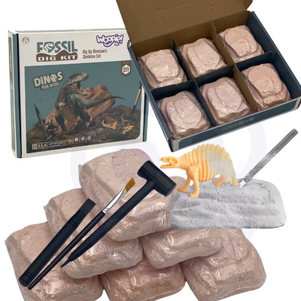 WOOPIE Wykopalisko 6w1 Dinozaur Szkielet Mały Archeolog 6 szt. - 001