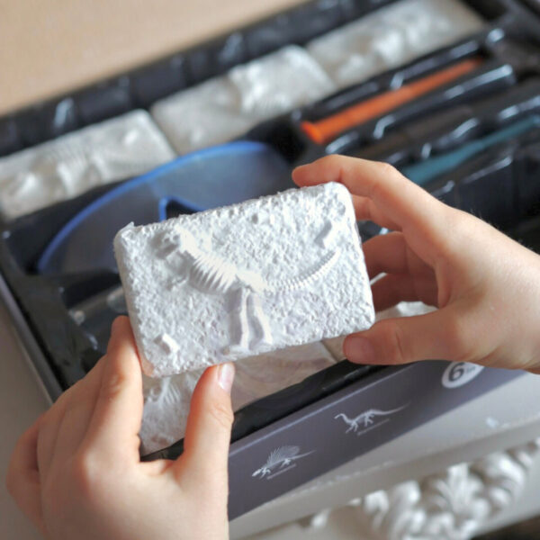 WOOPIE Wykopalisko "Mały Archeolog" 6 Szkieletów Dinozaurów - 003