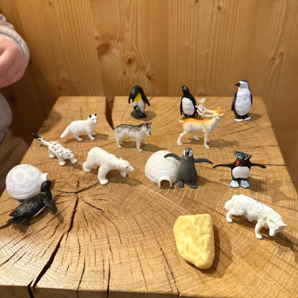 WOOPIE Zestaw Figurki Zwierzęta Arktyczne 16 szt. - 002