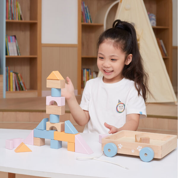 VIGA PolarB Drewniany Wózek do Ciągnięcia + Klocki 21 el. - 008