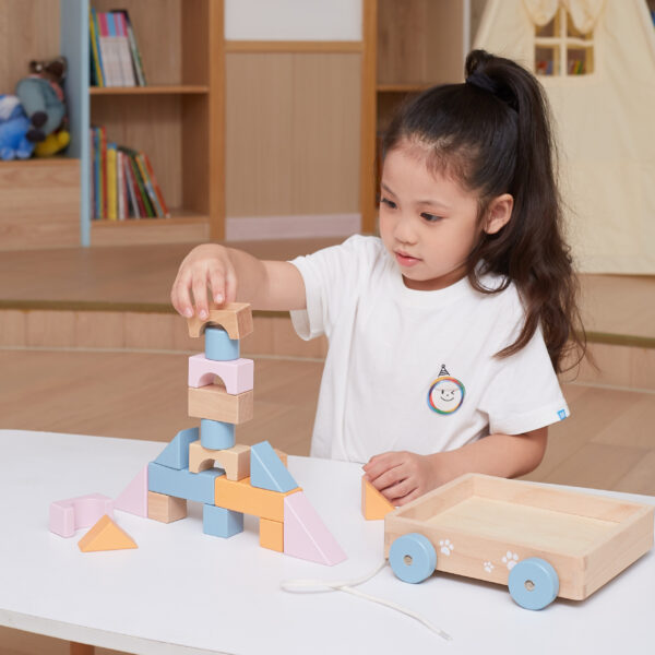 VIGA PolarB Drewniany Wózek do Ciągnięcia + Klocki 21 el. - 009