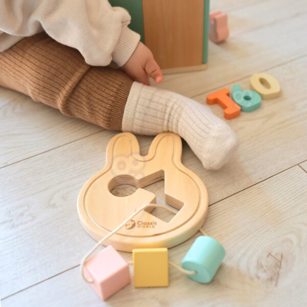 CLASSIC WORLD Pastelowy Zestaw dla Niemowląt Box Pierwsze Zabawki do Nauki od 12 do 18 miesiąca - 003