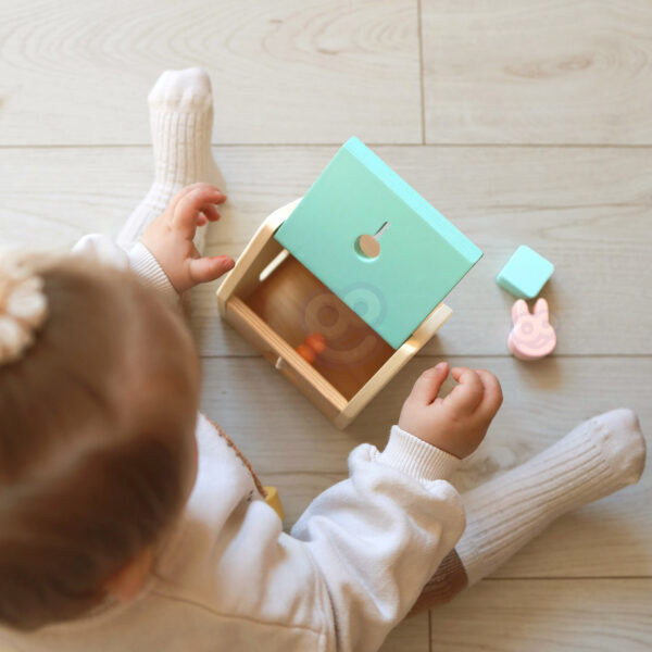 CLASSIC WORLD Pastelowy Zestaw dla Niemowląt Box Pierwsze Zabawki do Nauki od 12 do 18 miesiąca - 005