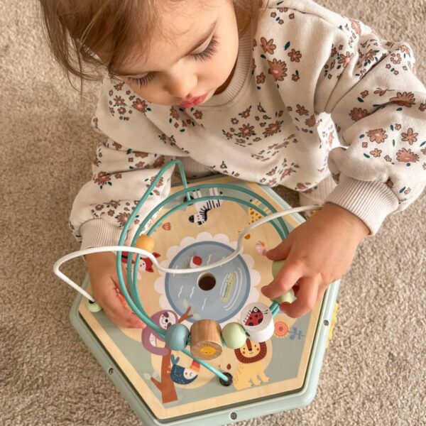 TOOKY TOY Interaktywny Drewniany Sześciokąt Montessori Otwierane Pudełko - 008