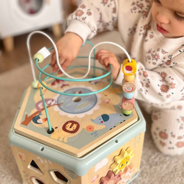 TOOKY TOY Interaktywny Drewniany Sześciokąt Montessori Otwierane Pudełko - 009