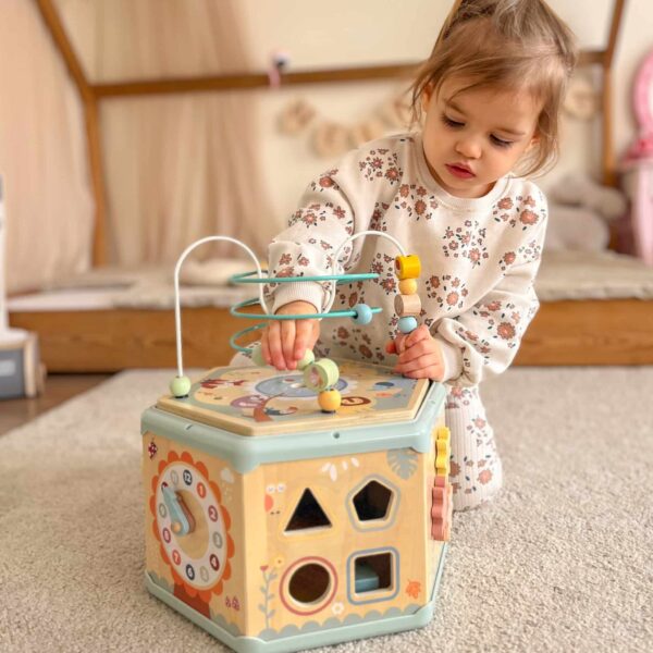 TOOKY TOY Interaktywny Drewniany Sześciokąt Montessori Otwierane Pudełko - 010