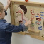 Nauka Anatomii Tablica Układ Pokarmowy Masterkidz – Pomoc Montessori - 003