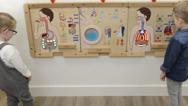 Nauka Anatomii Tablica Układ Pokarmowy Masterkidz – Pomoc Montessori - 005