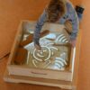 MASTERKIDZ Panel Skrzynia LED Sensoryczna - 002