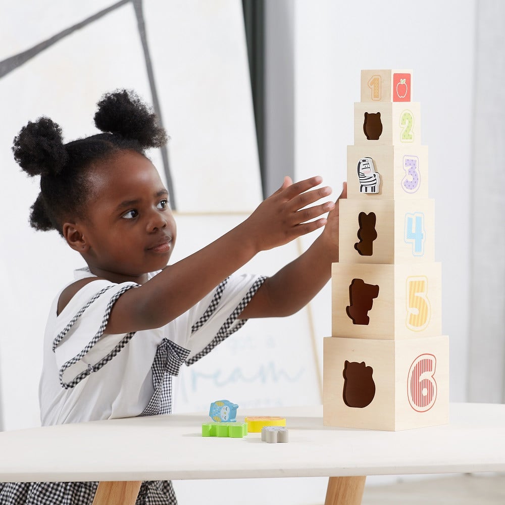 VIGA Drewniana Piramidka Układanka Klocki Sorter Montessori - 004