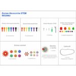 MASTERKIDZ Wolnostojąca Tablica Naukowa Kreatywna STEM 166 x 125 + Zestaw Akcesoriów - 014