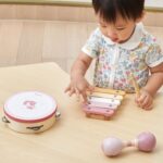 VIGA PolarB Zestaw Instrumentów Muzycznych Różowy - 002