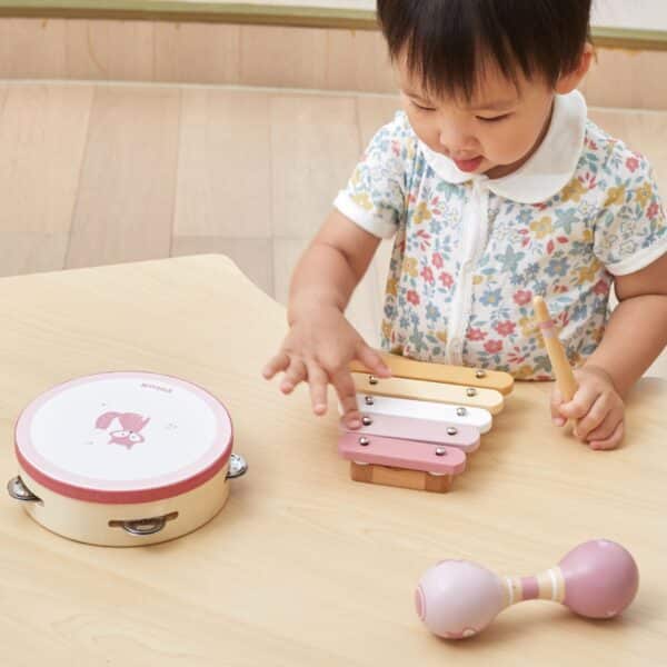 VIGA PolarB Zestaw Instrumentów Muzycznych Różowy - 002