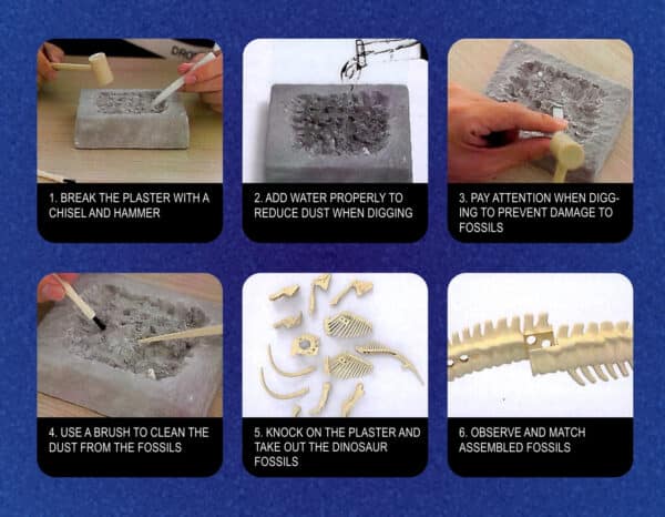 WOOPIE Zabawka Kreatywna Dinozaur Szkielet Wykopalisko Archeologiczne - 006