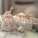 WOOPIE Wykopalisko "Mały Archeolog" 6 Szkieletów Dinozaurów - 006