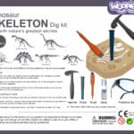 WOOPIE Wykopalisko "Mały Archeolog" 6 Szkieletów Dinozaurów - 012