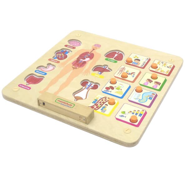 MASTERKIDZ Tablica Edukacyjna Układ Ciała Ludzkiego Montessori - 001