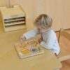 MASTERKIDZ Magnetyczny Labirynt Świat Owadów - Tabliczka - 004