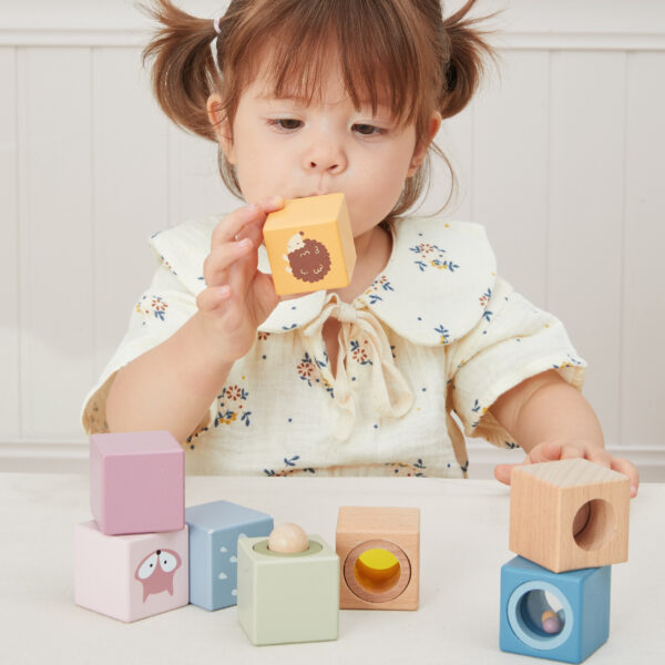 VIGA Drewniane Klocki Sensoryczne PolarB - 005