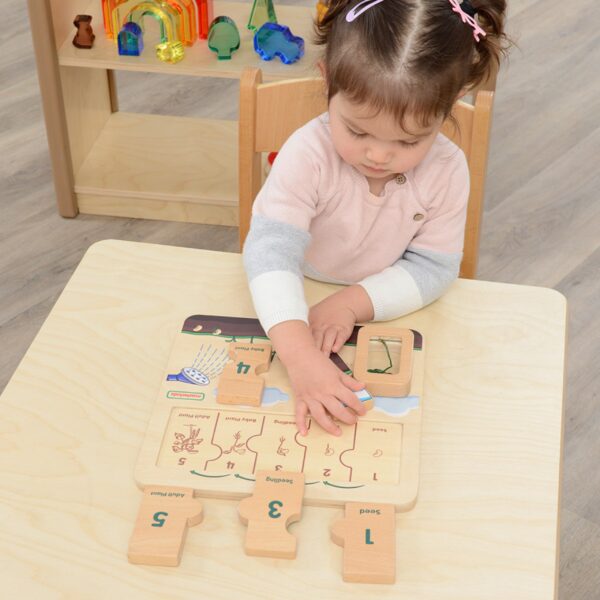 MASTERKIDZ Drewniana Tablica Cykl Życia Fasoli