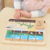 MASTERKIDZ Drewniana Tablica Cykl Życia Fasoli