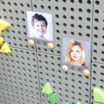 MASTERKIDZ Przezroczysta Kieszonka Na Zdjęcia Karty Etui 6 szt. - 003