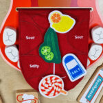 Tablica edukacyjna Higiena jamy ustnej Masterkidz - Nauka mycia zębów - 004