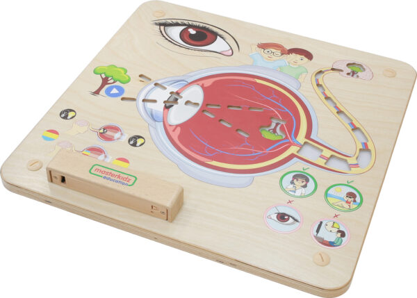 Sensoryczna Tablica Masterkidz Jak Działa Wzrok? – Pomoc Montessori - 001