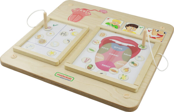 MASTERKIDZ Tablica Edukacyjna Zmysł Smaku Montessori - 004