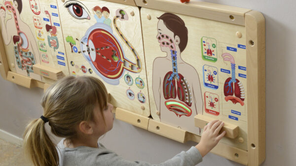 Tablica Edukacyjna Układ Oddechowy LED Montessori - MASTERKIDZ - 003
