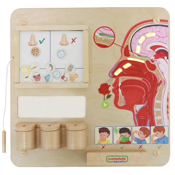Sensoryczna tablica do nauki zapachów – Masterkidz Edu
