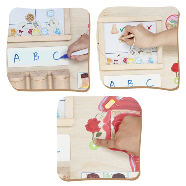 Sensoryczna tablica do nauki zapachów - Masterkidz Edu - 004