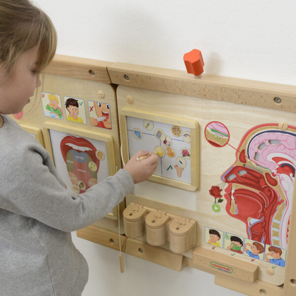 Sensoryczna tablica do nauki zapachów - Masterkidz Edu - 007