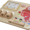 Sensoryczna tablica do nauki zapachów - Masterkidz Edu - 009