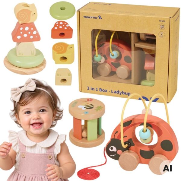 TOOKY TOY Zestaw Biedronka do Zabawy Rozwojowej 3w1 - 001