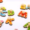 TOOKY TOY Puzzle Układanka Montessori z Pinezkami Alfabet - 006
