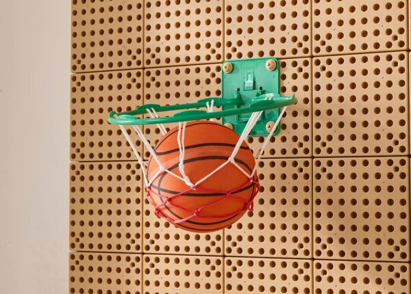 MASTERKIDZ Zestaw naukowy STEM Ściany STEM + Akcesoria Sportowe Towar Powystawowy – Pełnowartościowy